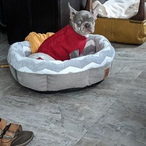 Meet your Posher, Shelly